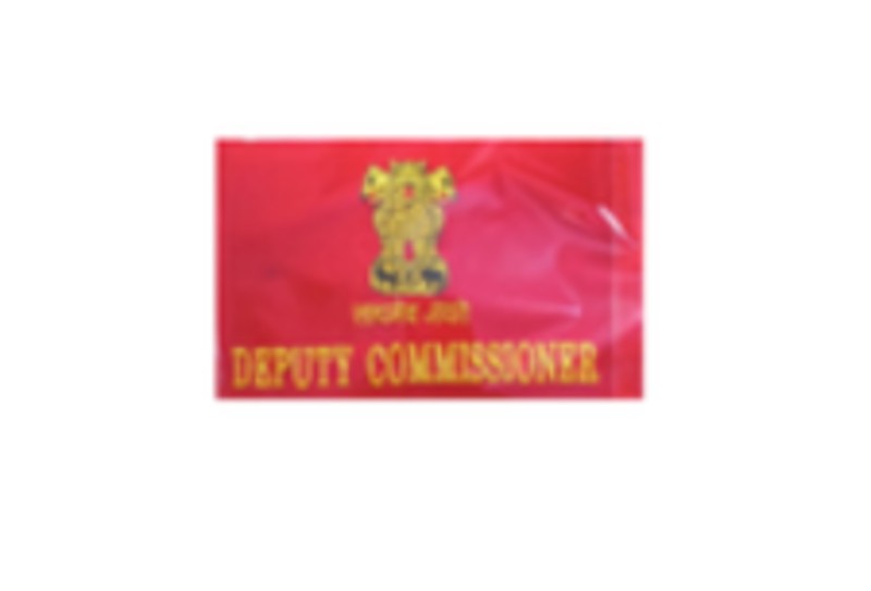 Deputy Commissioner