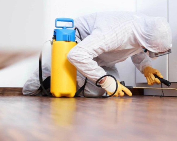 Termite Treatment