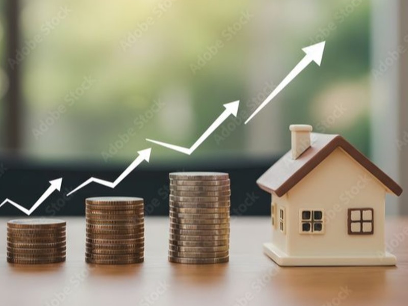 Rental Income Optimization